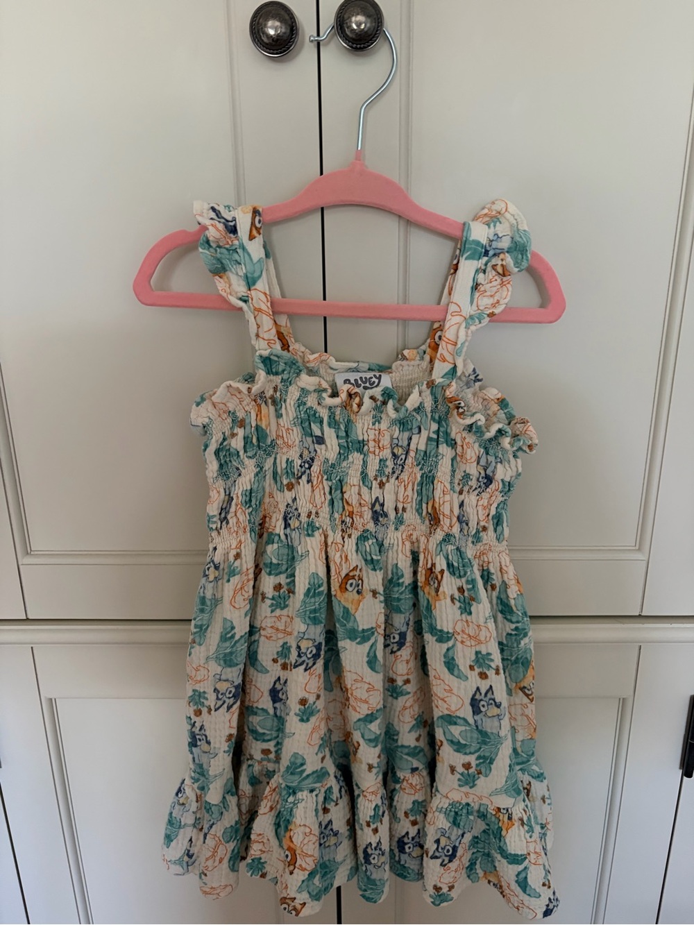 Bluey toddler dress